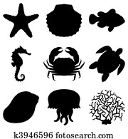 Sea animals. Sea animals.