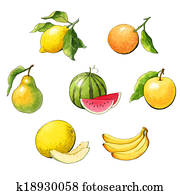 Set of watercolor fruit Set of watercolor fruit