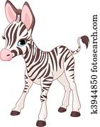 חמוד, zebra, פואל