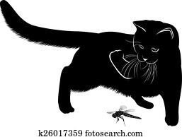 cat and dragonfly cat and dragonfly