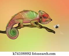 Chameleon in the jungle Chameleon in the jungle