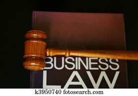 judges gavel on a business law book judges gavel on a business law book