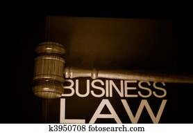 judges gavel on a business law book judges gavel on a business law book