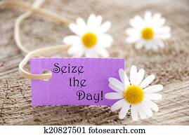 Label with Seize the Day