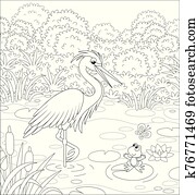 reiher, und, frosch, auf, a, see reiher, und, frosch, auf, a, see