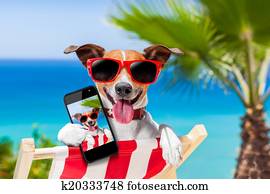 summer selfie dog summer selfie dog