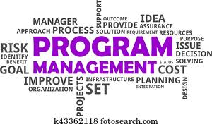 word cloud - program management