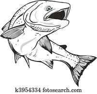 סלמון, fish