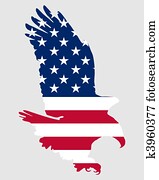 American bold eagle American bold eagle