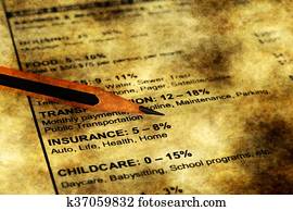 mensal, orçamento, plano