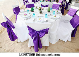 Wedding reception. Wedding reception.