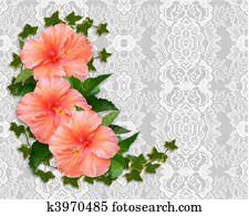Hibiscus and lace Background Hibiscus and lace Background