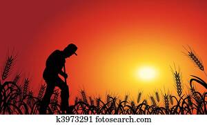 농부, 에서, 밀 들판