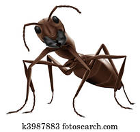 ant illustration ant illustration