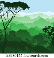 Forest Landscape Forest Landscape