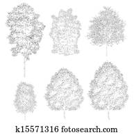 Trees Trees