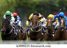 Action of a bunch of race horses during a race head-on. Action of a bunch of race horses during a race head-on.