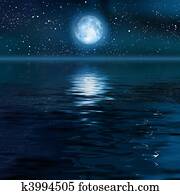 moon moon