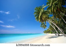 Perfect tropical island paradise beach Perfect tropical island paradise beach