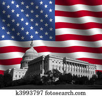 US Capitol with American flag US Capitol with American flag