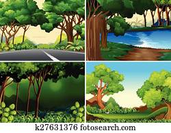 Forests Forests