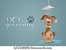 Funny dog under the shower Funny dog under the shower