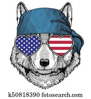 狼 犬 めがねをかける スケッチ K Fotosearch