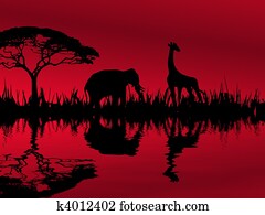 Africa Africa