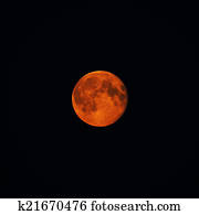 moon moon