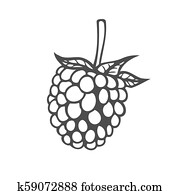 Superfood organic berry Superfood organic berry