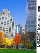 Autumn trees  in the city, with blue sky