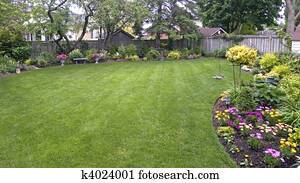 lawn lawn