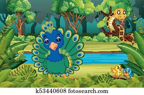 Peacock in the forest Peacock in the forest