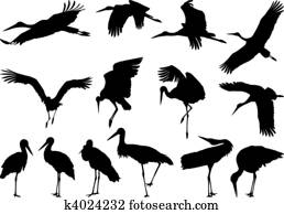 Stork silhouettes - vector