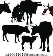 Cow a calf animals Cow a calf animals