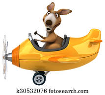 Fun kangaroo Fun kangaroo
