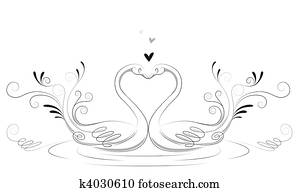 Love Swans Love Swans