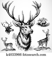 vetorial, dólar, veado