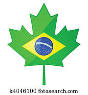 Brazilian Canada