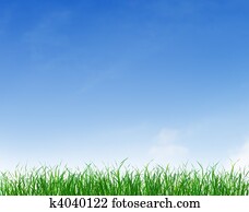 Green Grass Under Blue Clear Sky