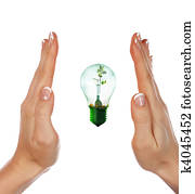 light with a small sprout light with a small sprout