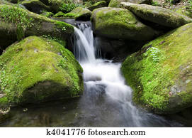 Mossy waterfall
