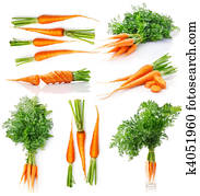 set fresh carrot fruits with green leaves