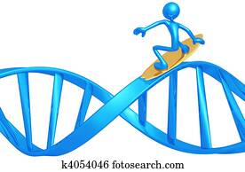 Surfing DNA Surfing DNA