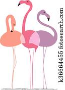 Varicoloured flamingos on a white background