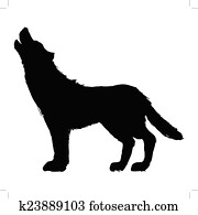 wolf wolf