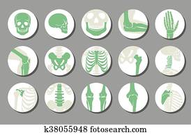 אורתופדי, ו, עמוד שדרה, וקטור, איקונים