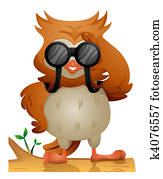 Owl Owl