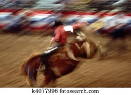 Rodeo Rodeo