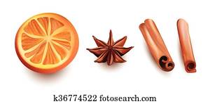 Vector Isolated Set of Orange Slice, Cinnamon Sticks and Star Anice on White Background.